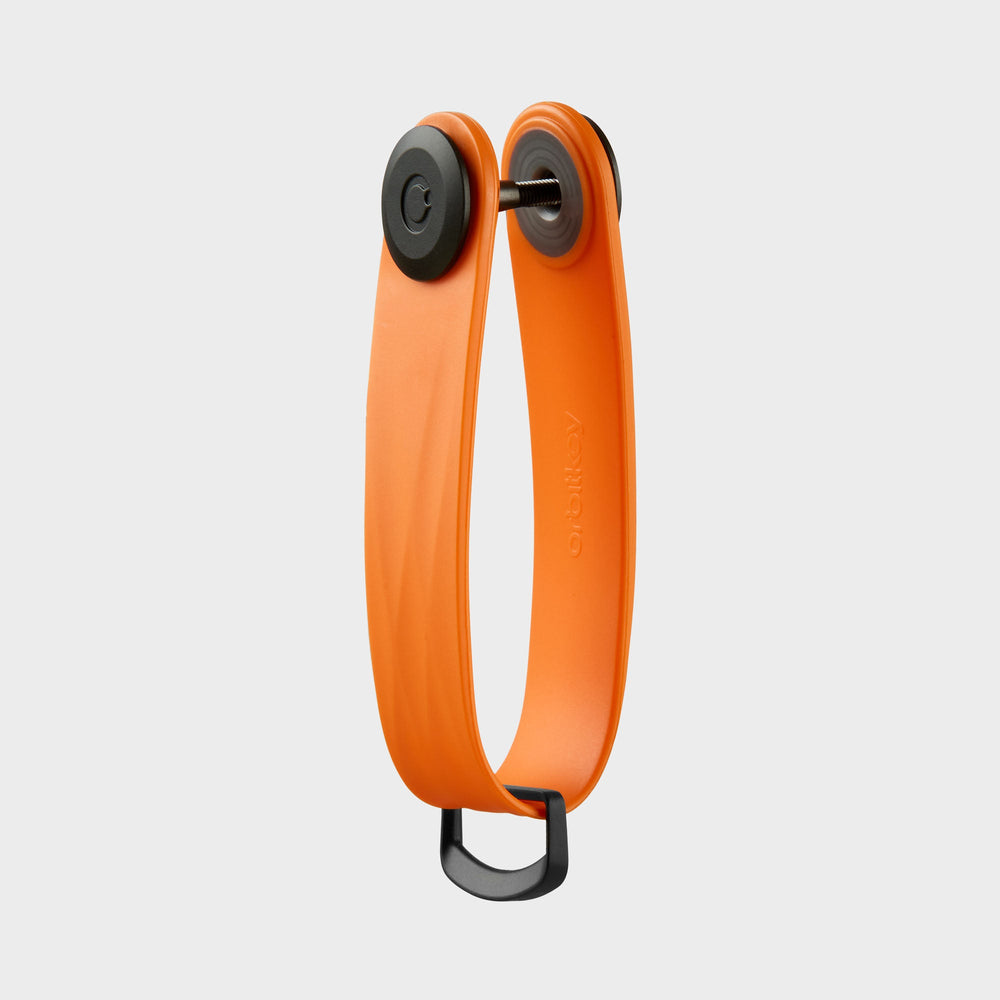 
                  
                    tangerine
                  
                