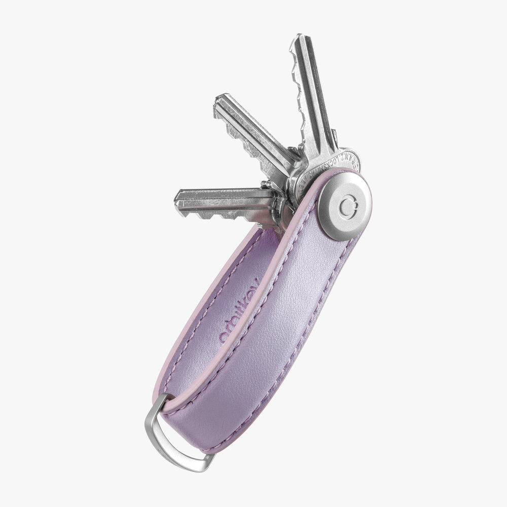 Key Organiser Cactus